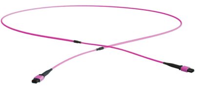 Trunk MPOF/MPOF multimode OM4, 8 FO QSFP+, élite, polarité B, magenta.